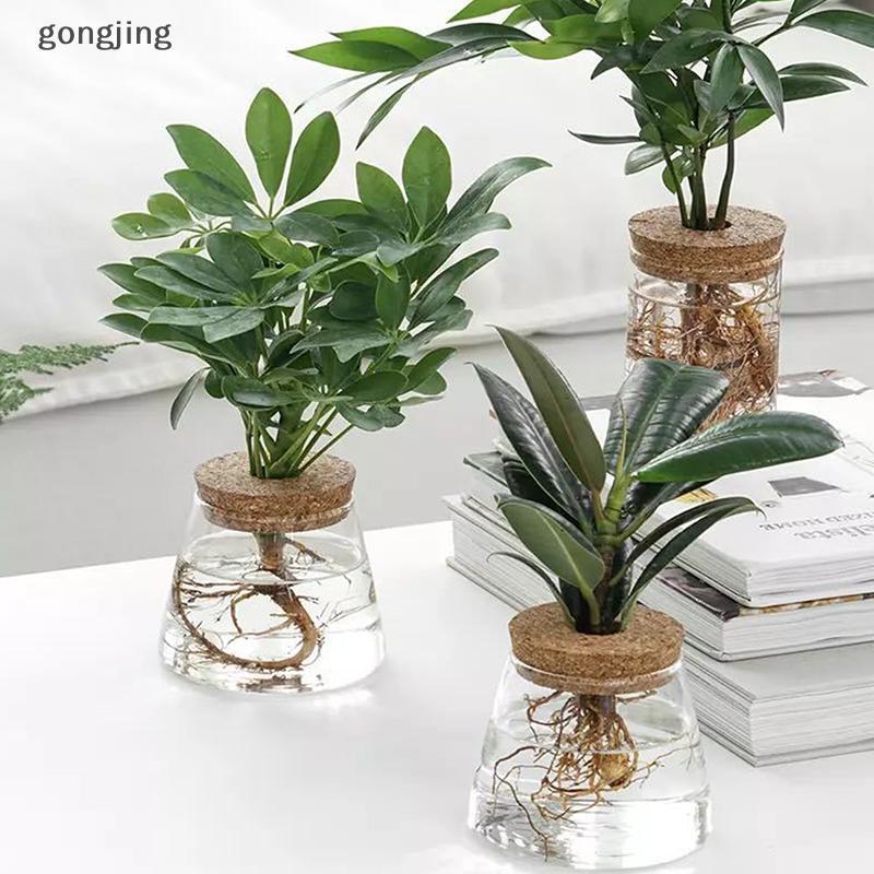 gongjing Vaso De Flores Hidropônico Transparente , Imitação De Vidro , Plantio Sem Solo , Planta Verde , De Resina , Dom