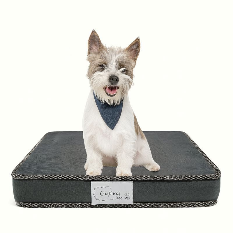 Cama Pet Ortopédica Pequena Para cachorro e Gato