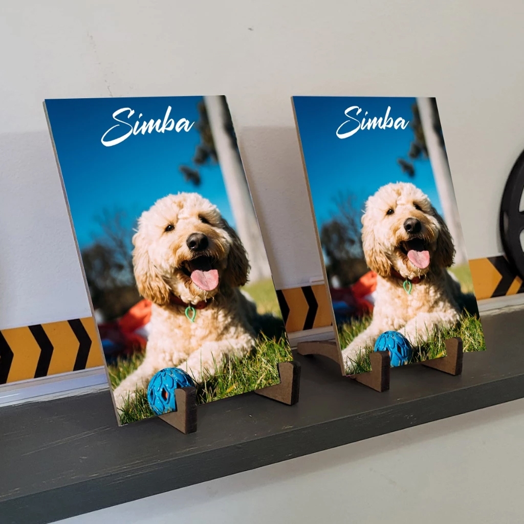 kit 2 quadrinhos de mesa pet dog cachorro amor cat gato personalizado com foto e nome qualidade retrato