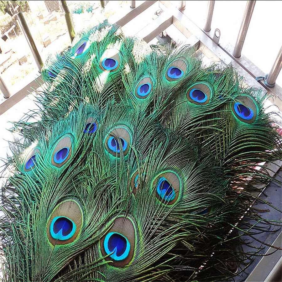 20/50 Pçs 25-30cm artificial Pena De Pavão Artesanato DIY Headwear Acessórios Penas De Casamento Artesanal Festa Decoraç