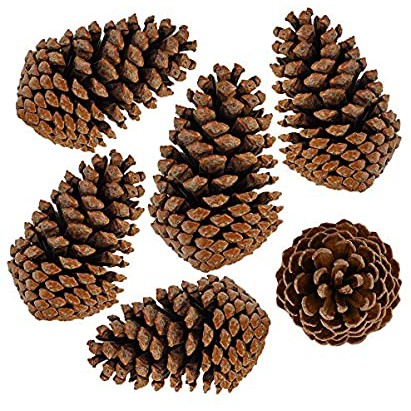 20 pçs Pinhas Naturais Brinquedo Pássaros, Roedores, Decoração Natal, Arranjos, Enfeites, Guirlanda