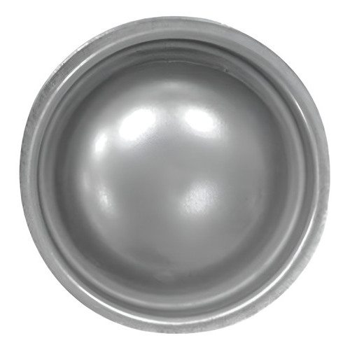 Calota Cubo Roda Traseira Peugeot 206
