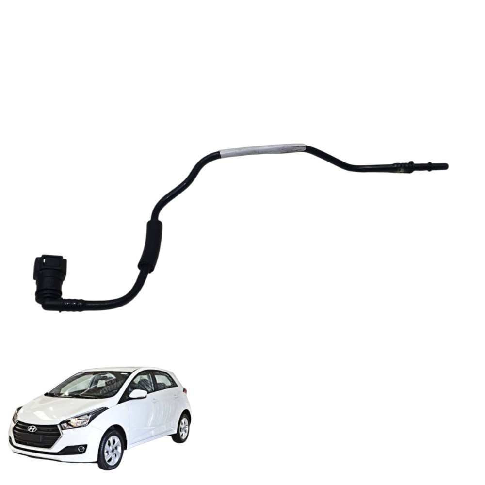 Mangueira Filtro Válvula Canister Hyundai Hb20 2013 A 2019