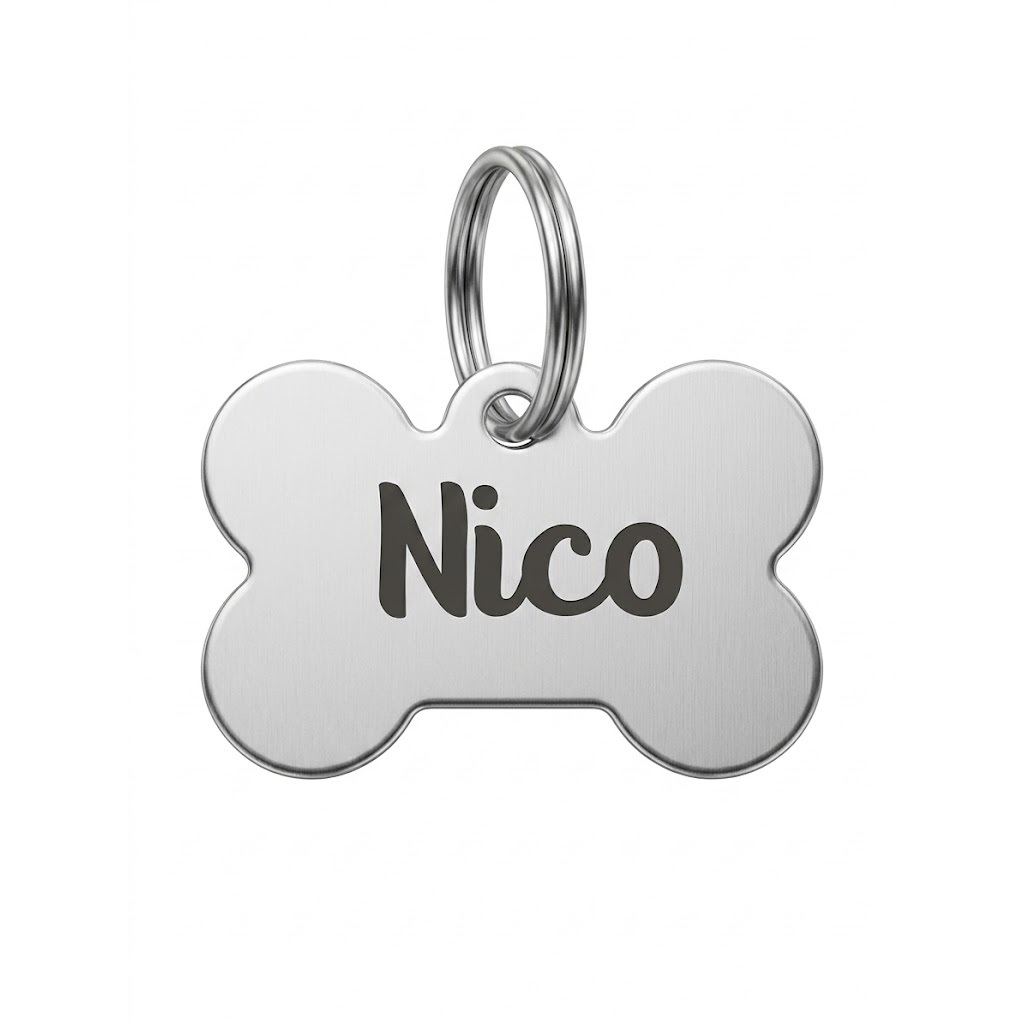 Plaquinha Identificação Pet Inox Personalizada Nome Cachorro Gato Pingente Coleira Gravação Laser