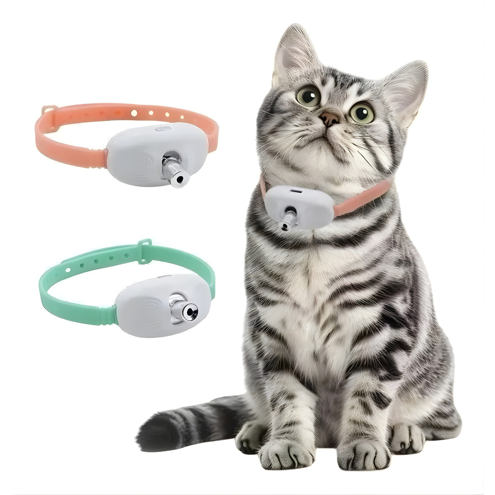 Brinquedo Laser Para Gatos Animais De Estimação USB Coleira De Gato LED Com Luz Brinquedos