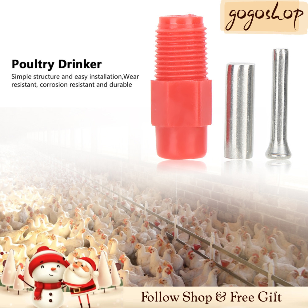 Gogoshopp-br GLOGLOW 40 unidades bebedor de frango em aço inoxidável bebedouro para aves equipamentos agrícolas
