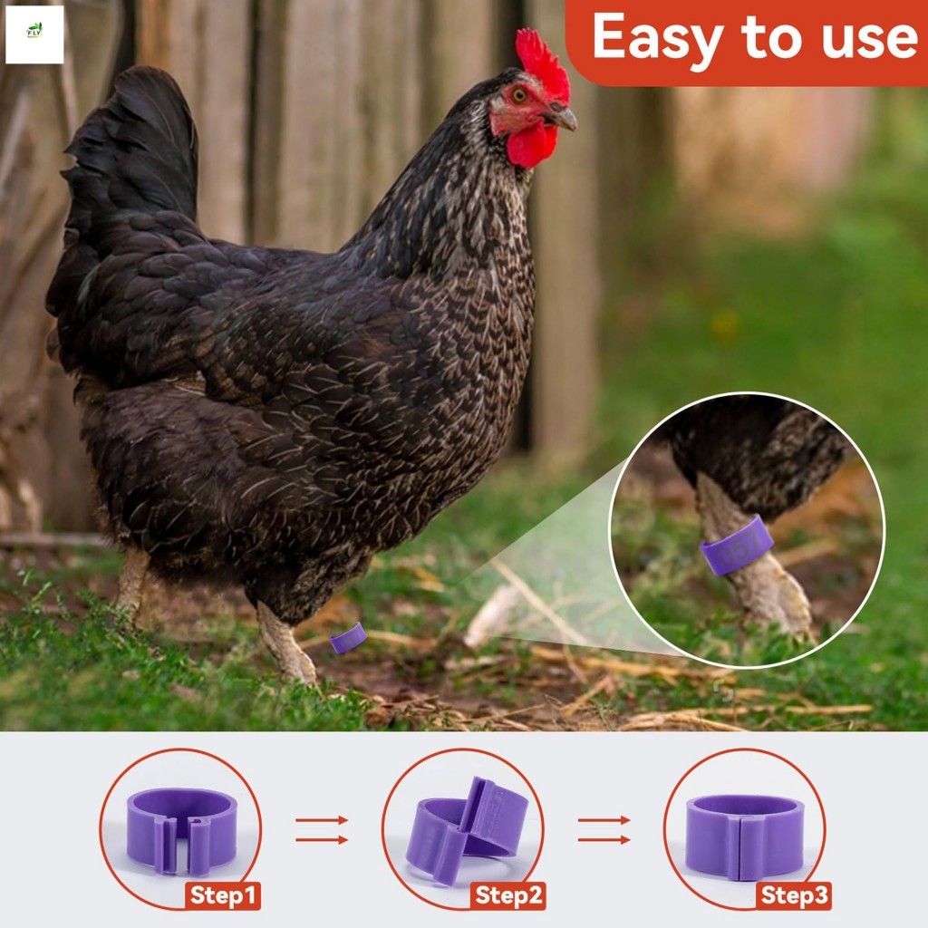 Anéis Coloridos De Perna De Frango ABS-Faixas Duráveis De Equipamentos De Alimentação Para Aves
