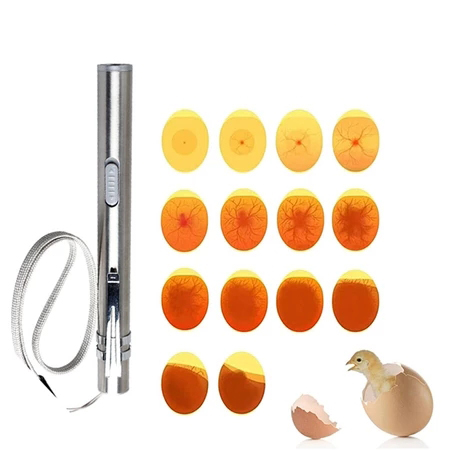 Luz De Candling De Ovo De Estimação-Lanterna LED USB Para Criação De Pássaros E Aves , Verificação De Desenvolvimento De
