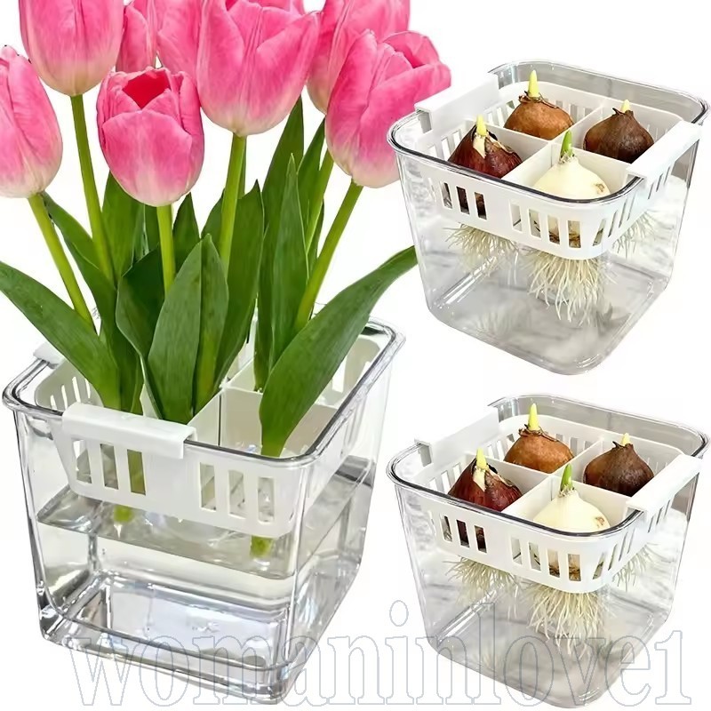Plantadores Hidropônicos Internos-Recipiente De Plantio Hidropônico Tulip Corms-Vaso De Cultivo Floral Aquático-Cesta De