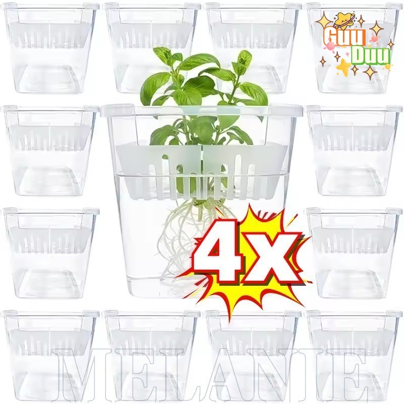 [Guudu] Recipiente De Plantio Transparente De 4 Furos-Plantador Hidropônico Tulip Corms-Basbin De Desenvolvimento De Rai
