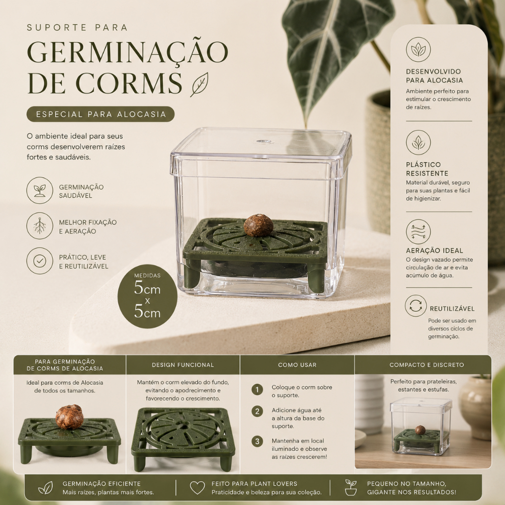 Suporte para corms de alocasia | Germinação e Propagação