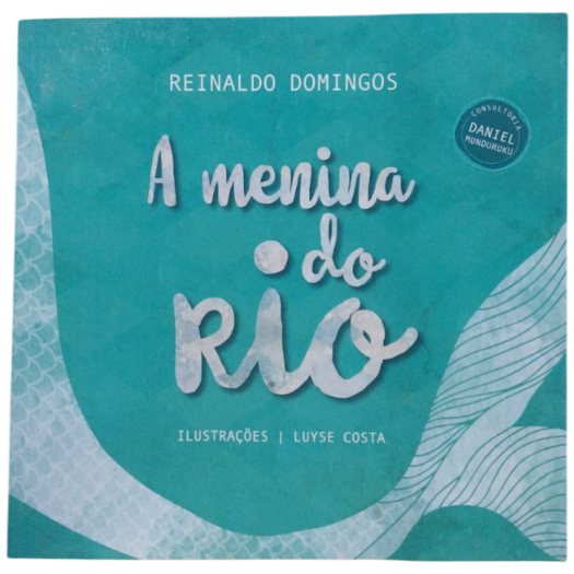 A Menina Do Rio - Reinaldo Domingos