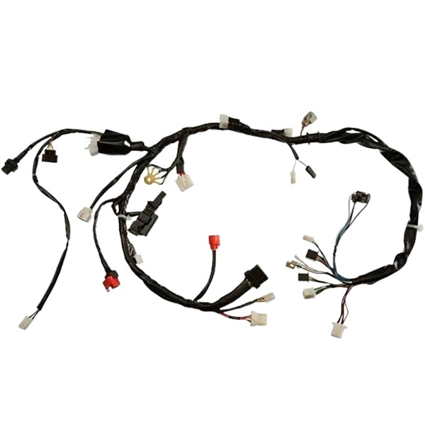 FIACAO COMP FAN 150 09/10 ESI MAGN 90285640