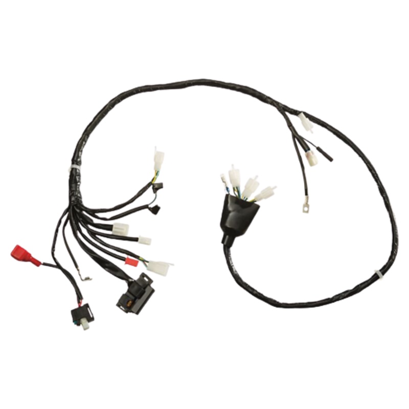 FIACAO COMP BIZ 125 06/08 KS MAGN 90285490