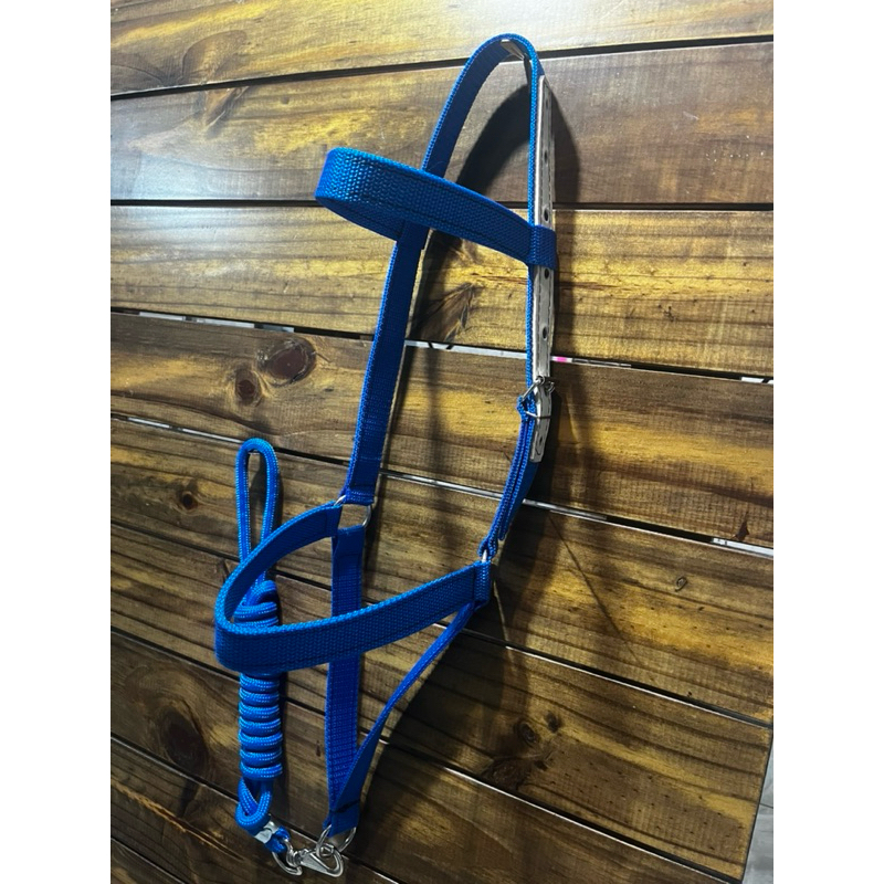 Cabresto para cavalos mulas e éguas de fita reforçado ajustavel resistente PROMOÇÃO envio imediato