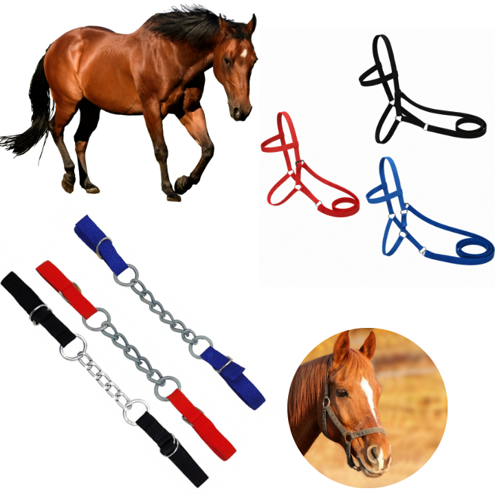 Cabresto para Cavalo em Fita Nylon Reforçada + Barbela de Corrente Simples - Ideal para Cavalaria