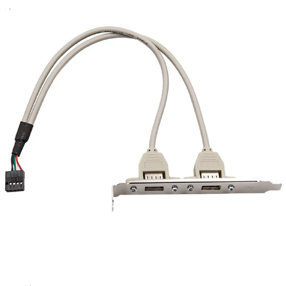 Painel Usb 2.0 Traseiro Com Espelho 2 Portas 9pinos