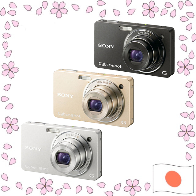 Câmera Digital Sony Cyber-shot DSC-WX1 10.2MP Lente G Zoom 5x - Preto / Prata / Dourado Usado【Enviado diretamente do Japão】