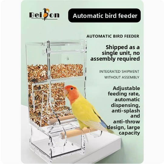 Alimentador automático para papagaio, à prova de respingos, caixa de comida inferior, gaiola suspensa, pequeno e médio