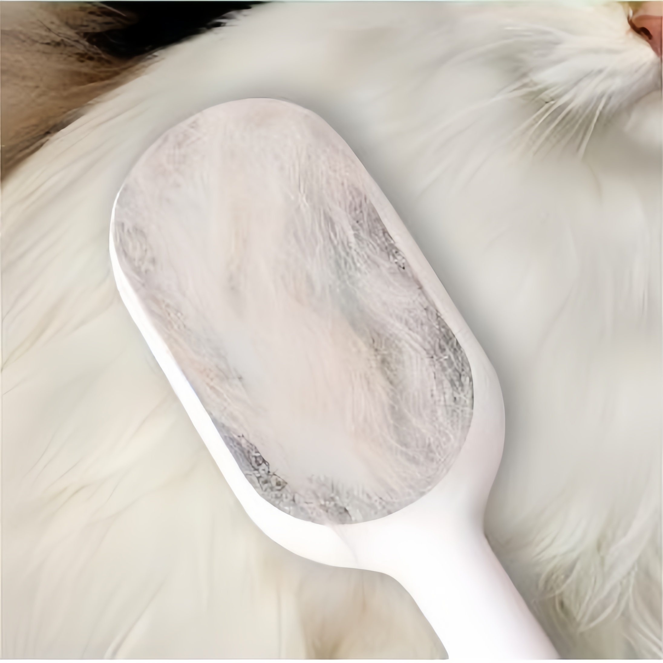 2  Unidades Pet Hair Trimmer Multi Funcional Silicone Comber Para Gatos, CãEs E CãEs
