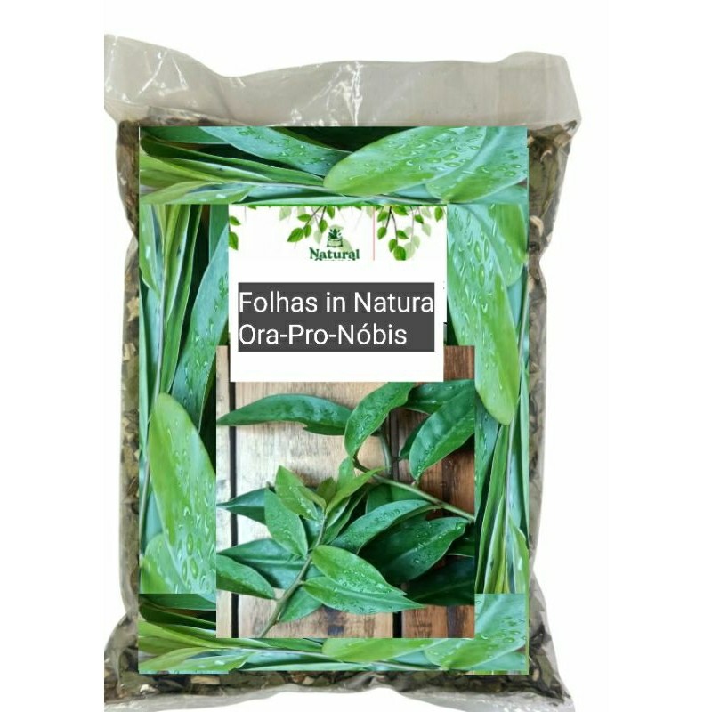 Ora-pro-nóbis folhas in Natura Colhidas no dia de envio receitas ou  chá
