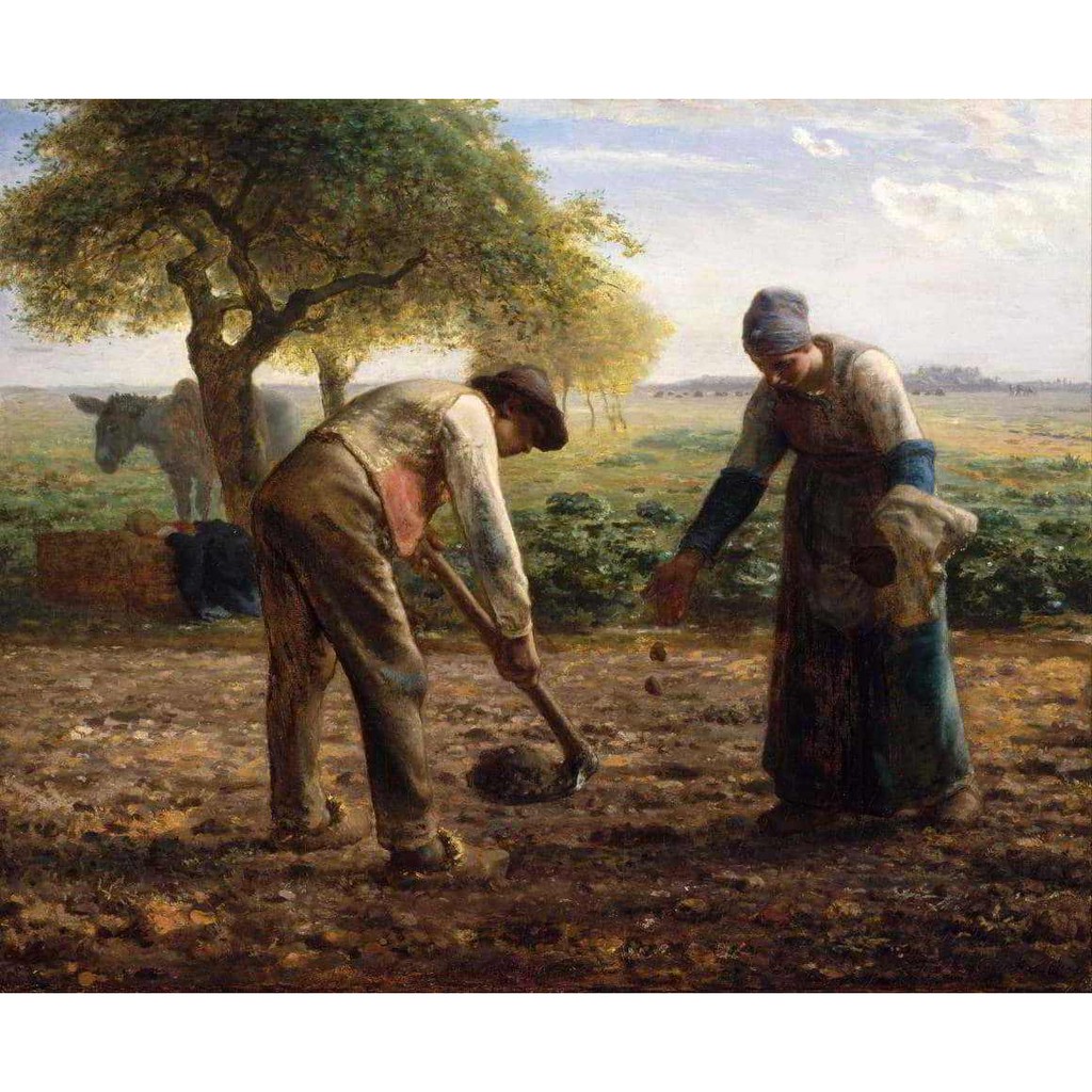 Plantadores de Batatas - Jean-François Millet - Tela Canvas Para Quadro