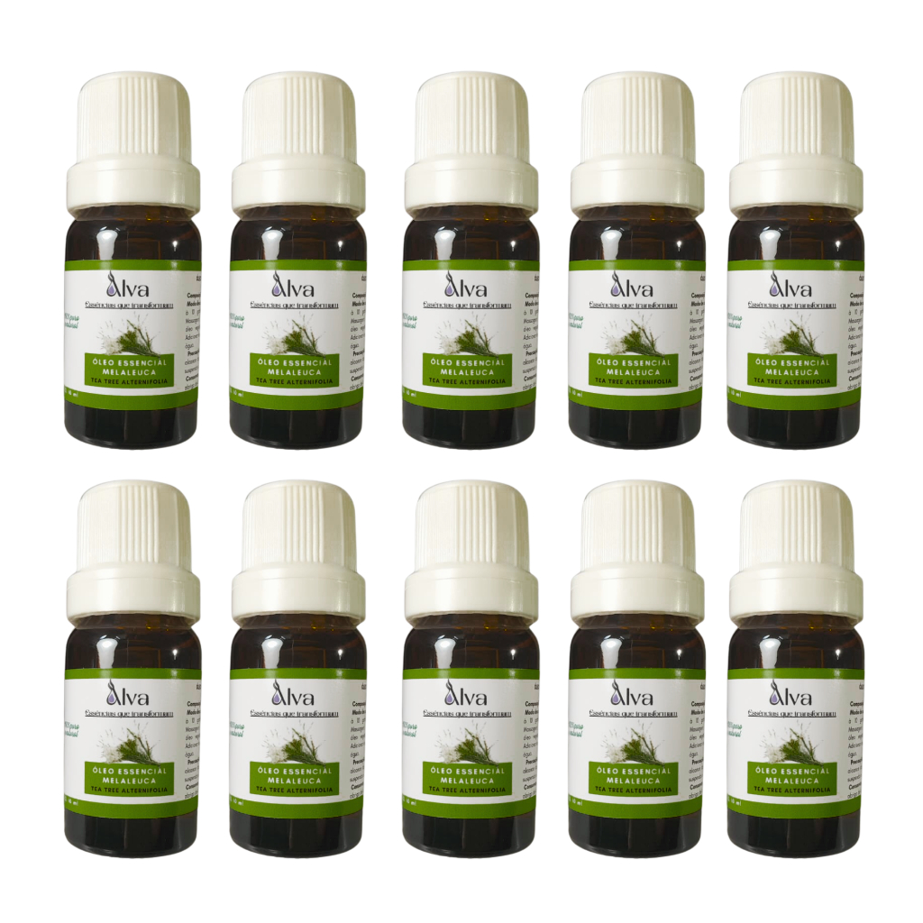 Kit com 10 Óleos Essenciais de Melaleuca 100% Puro - Alva - Frasco de vidro e gotejador  10 ml cada