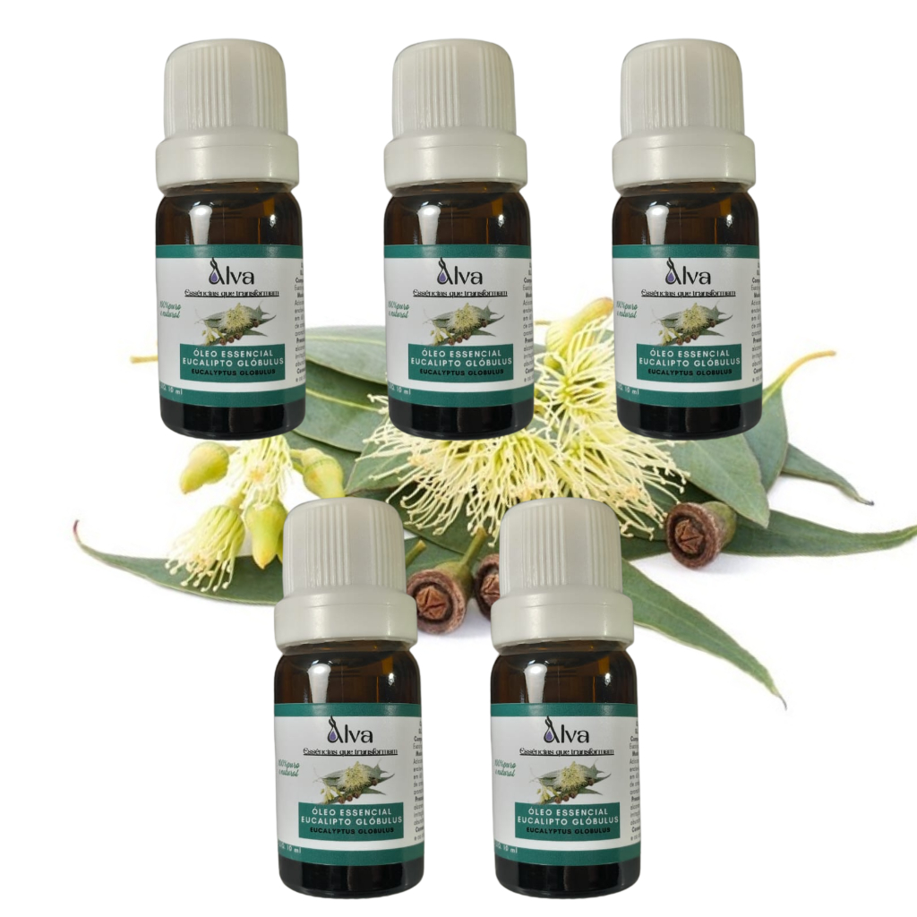 Kit com 5 Óleos Essenciais de Eucalipto Glóbulus 100% Puro - Alva -  gotejador, com 10 ml cada