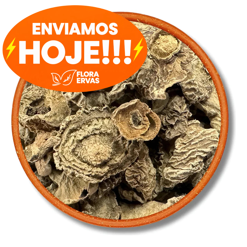 Garra Do Diabo 1kg - Flora Ervas