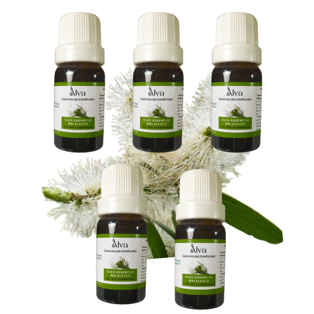 Kit de 5 Óleos Essenciais de Melaleuca 100% Puro - Alva - Frasco de vidro e gotejador com 10 ml cada