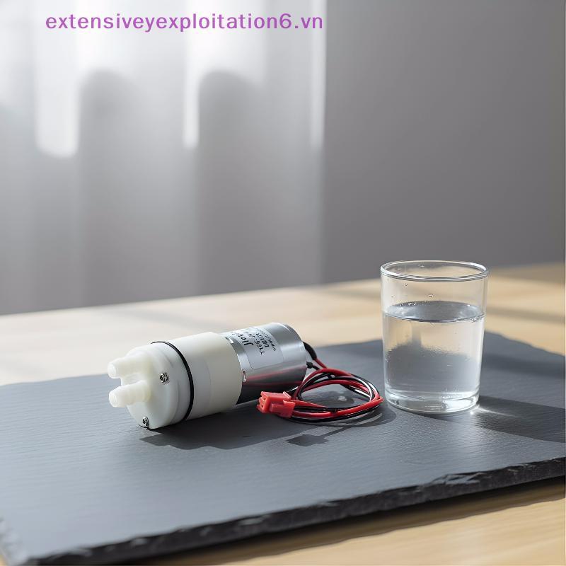 exten 12V 370 Mini Bomba De Água De Diafragma Fácil Instalação Para Dispensador DIY Moderna Mesa De Chá Jardim Irrigação