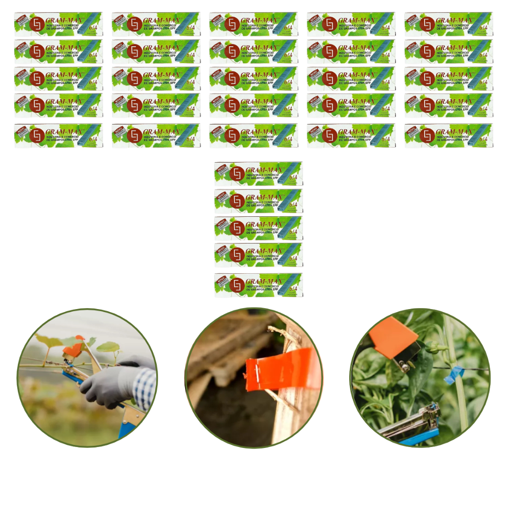Kit Grampo Gram Max 6/4 Para Alceador 30 Caixas 144.000 Unidades