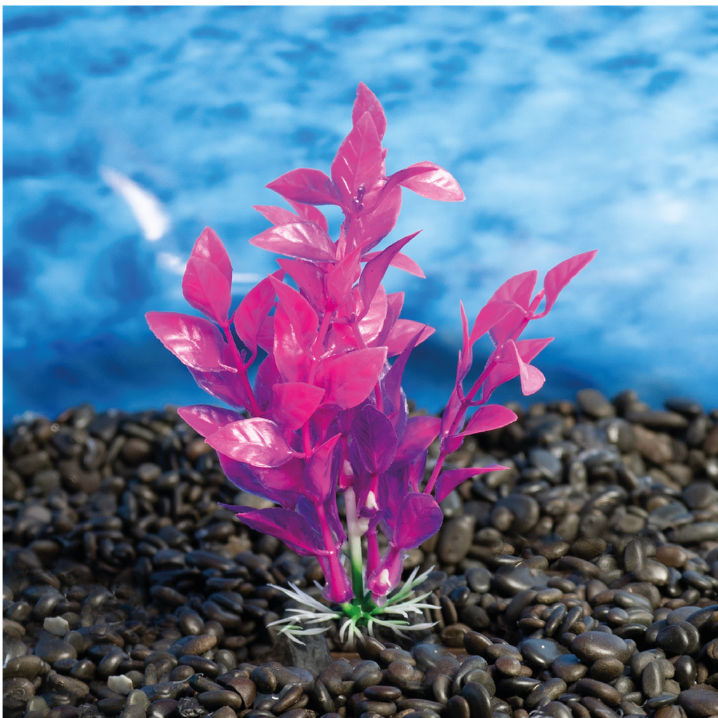 PLANTA PLASTICA SOMA ECONOMY 10CM ROSA (MOD.871)