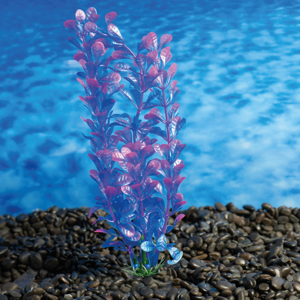 PLANTA PLASTICA SOMA ECONOMY 10CM ROXA (MOD.423)