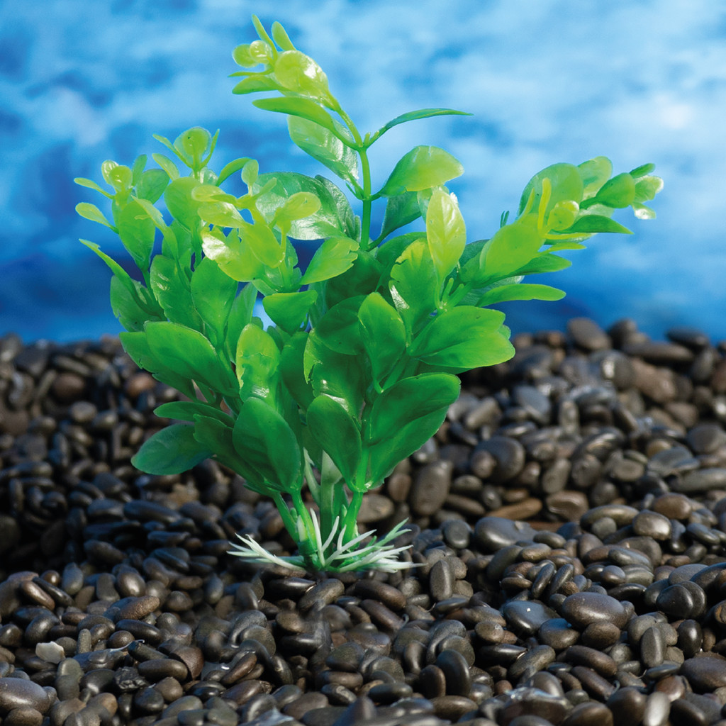 PLANTA PLASTICA SOMA ECONOMY 20CM VERDE (MOD.404)