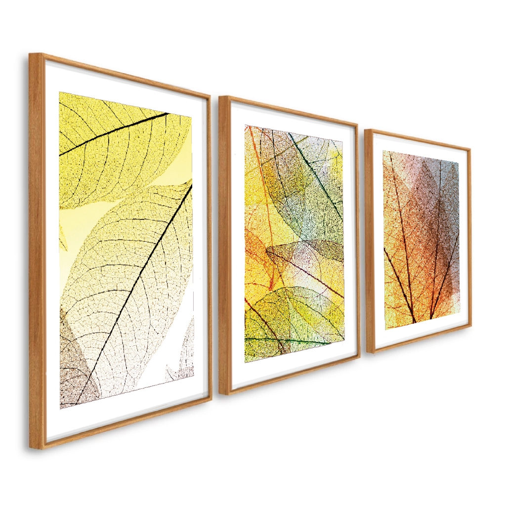 kit quadro decorativo moldura Caixa Alta Grande 41x61x3.5 cm Folhas secas