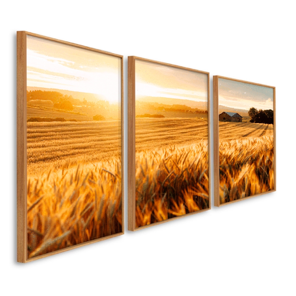 kit quadro decorativo moldura Caixa Alta Grande 41x61x3.5 cm Plantio de Trigo
