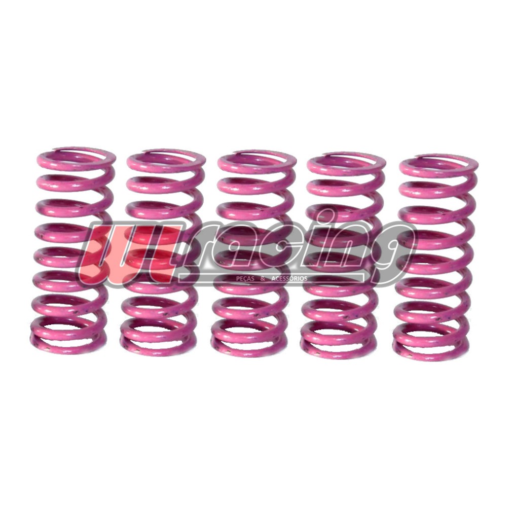 Kit Molas De Embreagem Cb300 Xre300 Crf250f Cb250