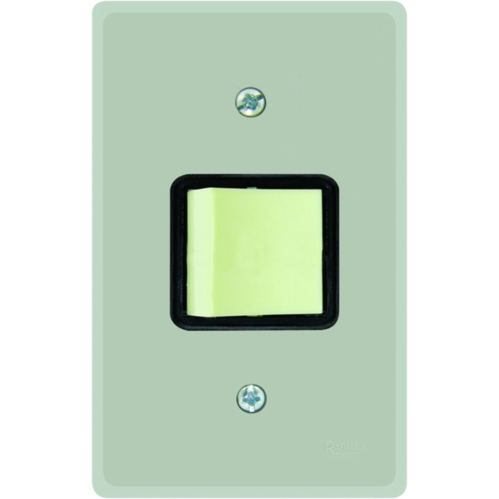 Interruptor 1 Tecla Bipolar Paralelo C/ Placa Prata Radial