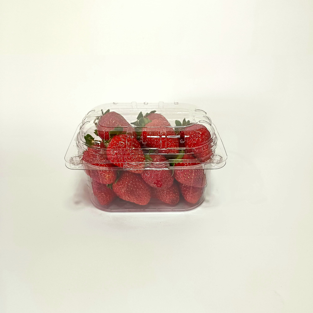 200 un Cumbuca Plástica 250ml p/ Frutas e Legumes c/ Tampa Articulada GF250 Galvanotek
