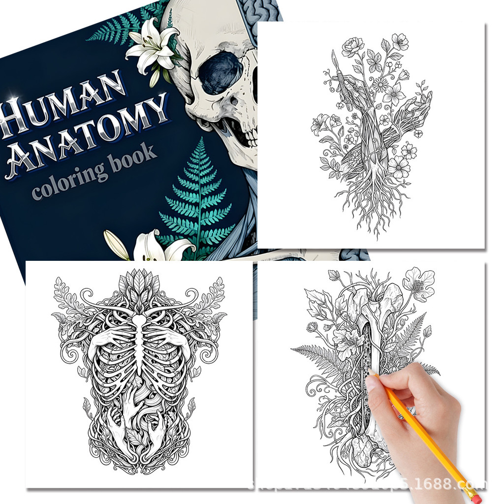 Livro De Colorir De Anatomia Humana Para Adultos E Estudantes , Páginas De Preenchimento De Papel Grosso Alívio Do Estre