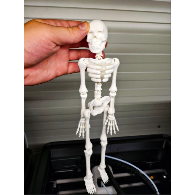 Esqueleto Perfeito Flexível Articulado Decorativo Halloween 25CM - Impressão 3D