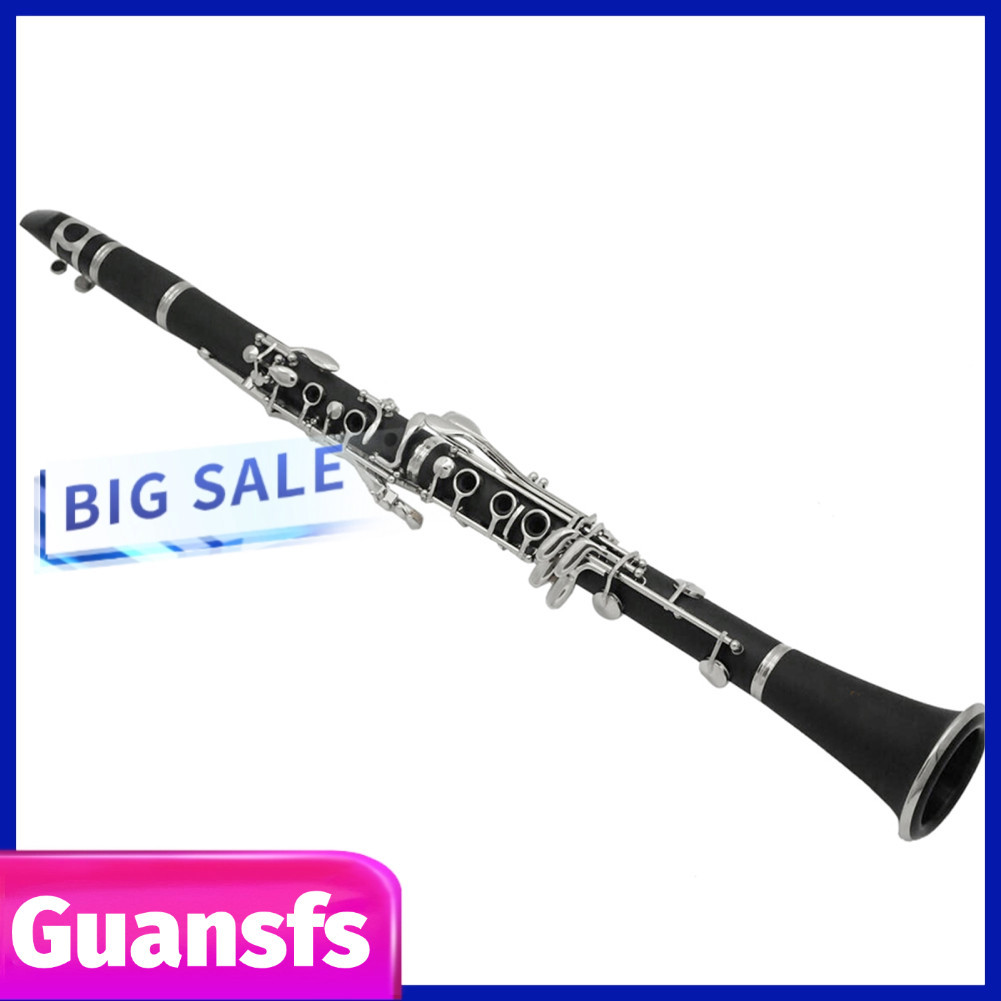 Guansfs.br Clarinete ABS Bb 17 teclas banhado a cuproníquel com luvas de pano de limpeza Chave de fenda acolchoada Caso