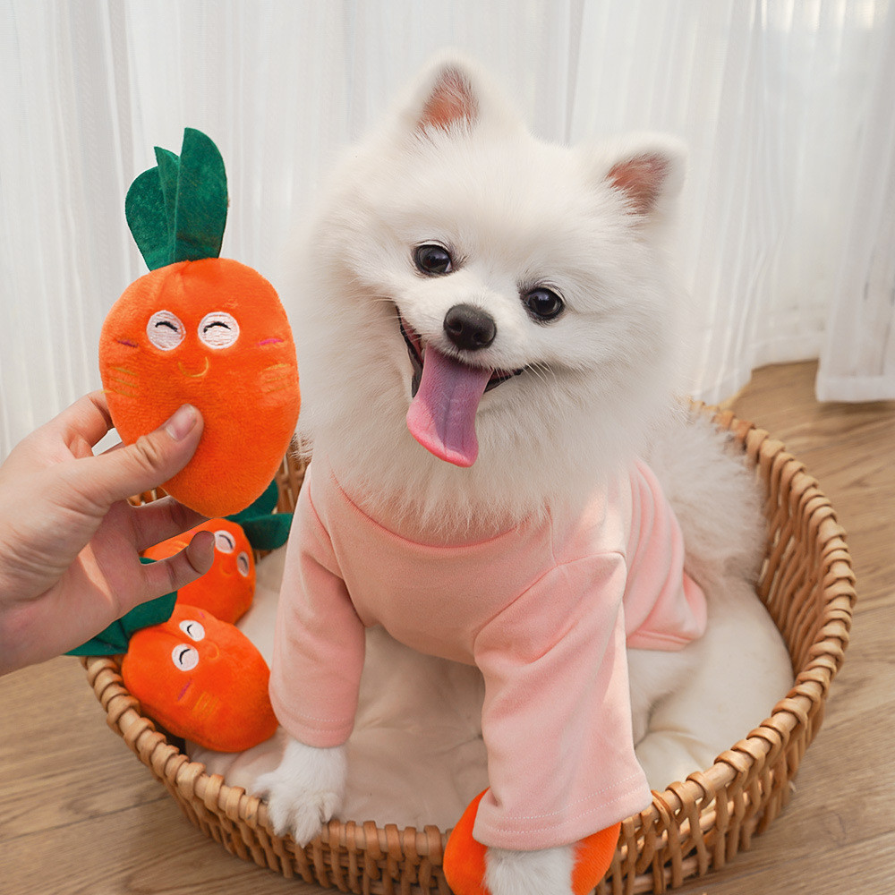 Cão Molar mordida-resistente som brinquedo osso perna de frango frutas cenoura Multi-forma gato interativo boneca de pel