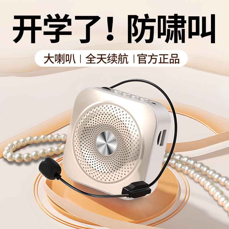 Amplificador pequena abelha microfone professor dedicado alto-falante de alto Volume latindo promoção Mini alto-falante