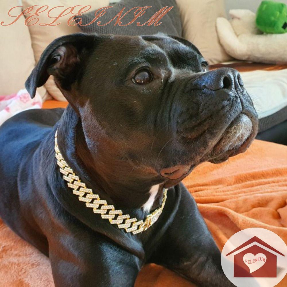 SELENIUM Dogs Chains Durável Criativo Não-Ferrugem Largura 2MM Colar Para Cães