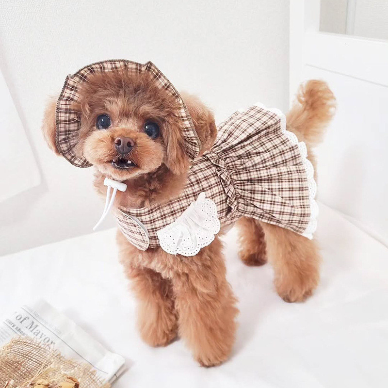 Pawsfun Pet Brown Outing Vestido Casual com Chapéu Primavera Verão Gato Cachorro Vestido de Tração Saia