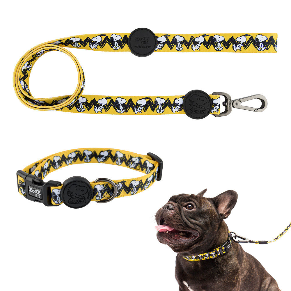 Kit Coleira + Guia Para Cães Charlie Brown, Tamanho P
