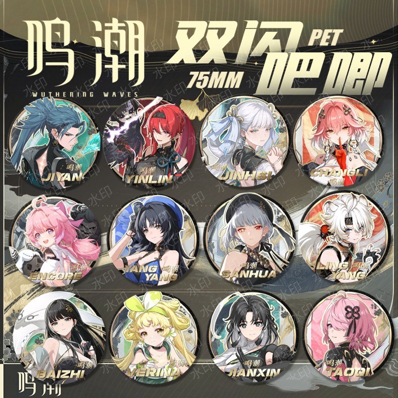 Jogo Wuthering Ondas LINGYANG Jiyan Yangyang Botão Folha De Flandres Crachá Broche Anime Periférico Presentes Colecionáv