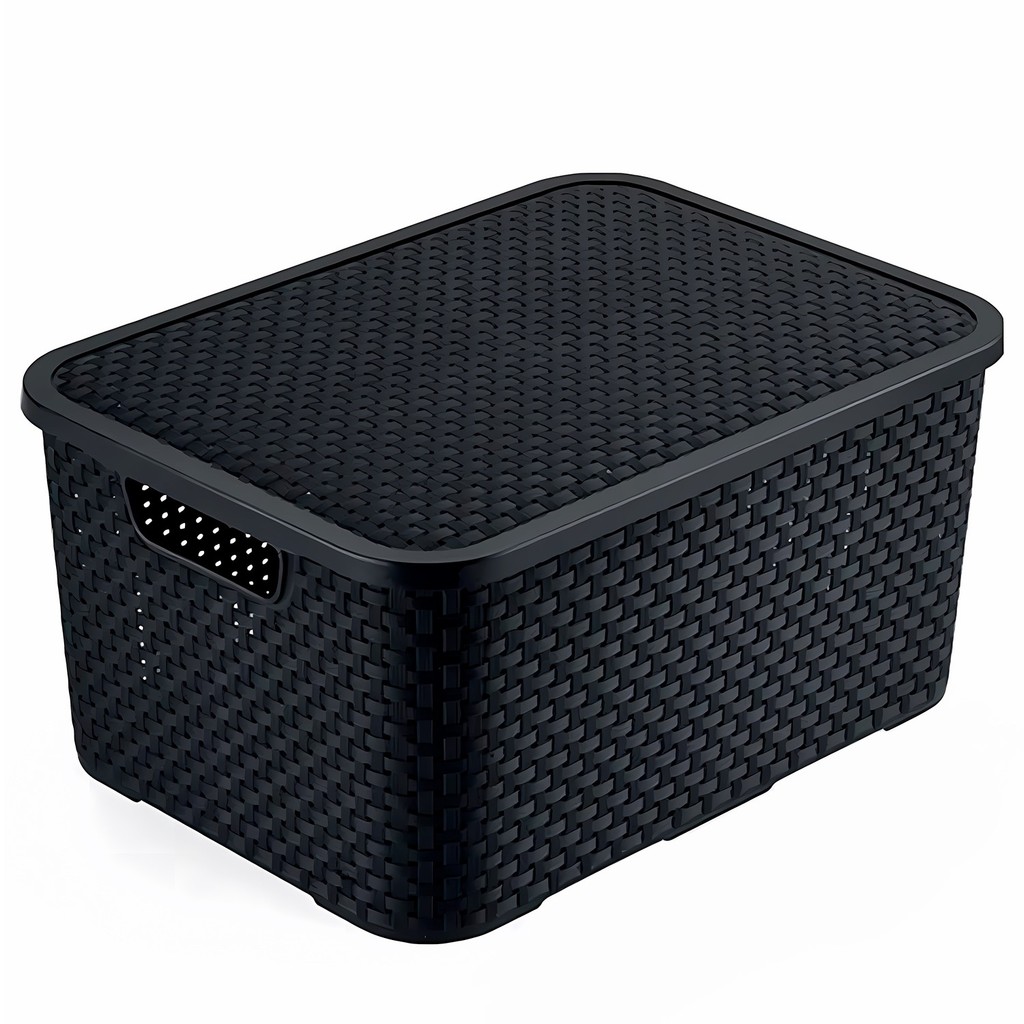 Caixa Organizadora Multiuso Mini Rattan 7L Com Tampa Removível E Pegadores Laterais

 - Monte Líbano